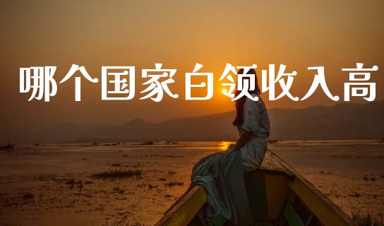 哪个国家白领收入高_https://wap.lxcailiao.com_融资担保_第1张