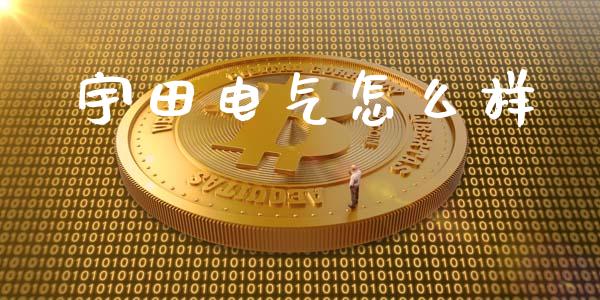 宇田电气怎么样_https://wap.lxcailiao.com_股权投资_第1张