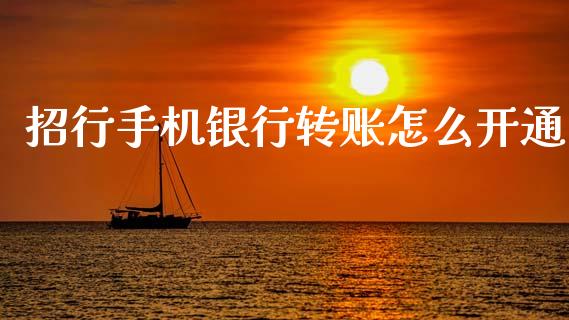 招行手机银行转账怎么开通_https://wap.lxcailiao.com_融资担保_第1张