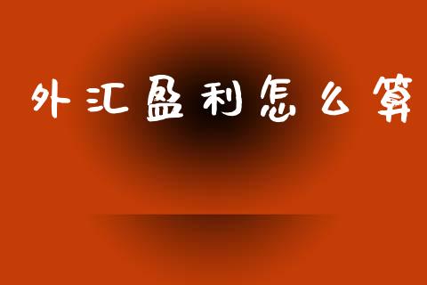 外汇盈利怎么算_https://wap.lxcailiao.com_金融监管_第1张