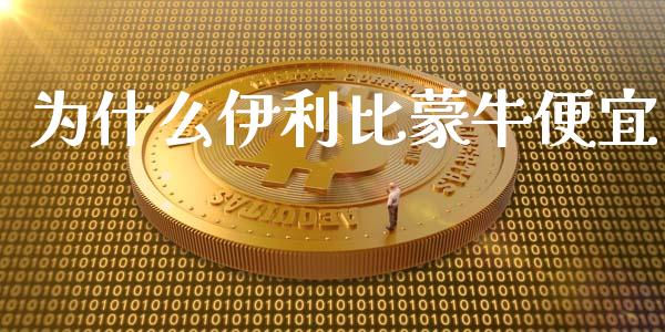 为什么伊利比蒙牛便宜_https://wap.lxcailiao.com_财务管理_第1张