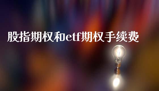 股指期权和etf期权手续费_https://wap.lxcailiao.com_财务管理_第1张
