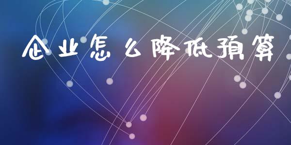 企业怎么降低预算_https://wap.lxcailiao.com_融资担保_第1张