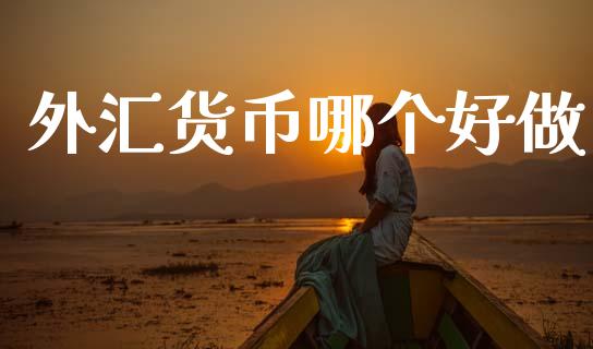 外汇货币哪个好做_https://wap.lxcailiao.com_融资担保_第1张