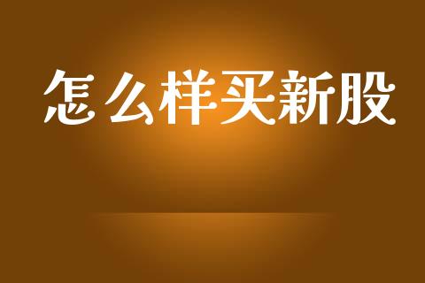 怎么样买新股_https://wap.lxcailiao.com_融资担保_第1张