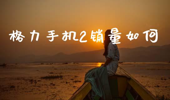 格力手机2销量如何_https://wap.lxcailiao.com_融资担保_第1张