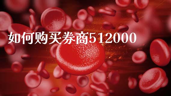 如何购买券商512000_https://wap.lxcailiao.com_金融监管_第1张