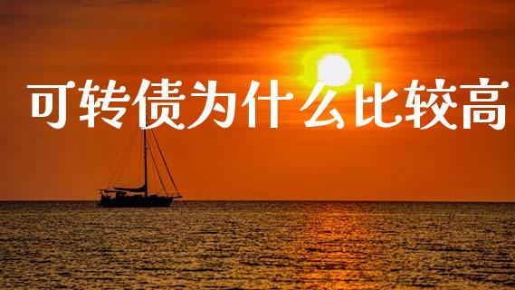 可转债为什么比较高_https://wap.lxcailiao.com_金融监管_第1张