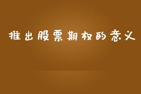 推出股票期权的意义_https://wap.lxcailiao.com_财务管理_第1张