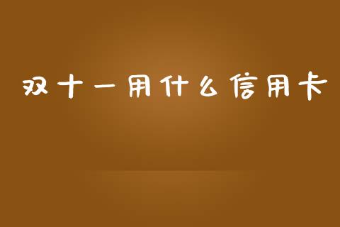 双十一用什么信用卡_https://wap.lxcailiao.com_财务管理_第1张
