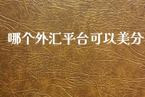 哪个外汇平台可以美分_https://wap.lxcailiao.com_融资担保_第1张