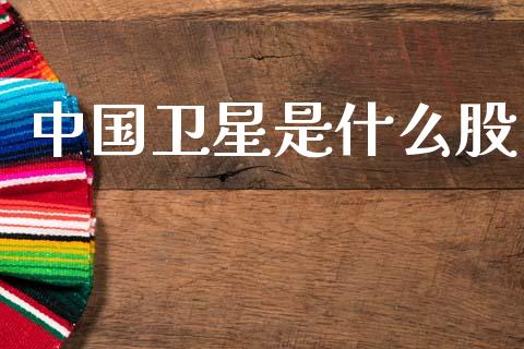 中国卫星是什么股_https://wap.lxcailiao.com_财务管理_第1张