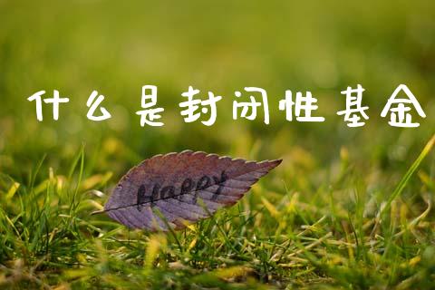 什么是封闭性基金_https://wap.lxcailiao.com_财务管理_第1张