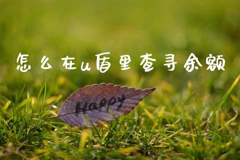 怎么在u盾里查寻余额_https://wap.lxcailiao.com_股权投资_第1张
