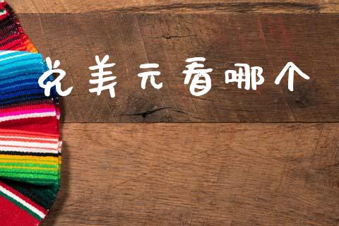 兑美元看哪个_https://wap.lxcailiao.com_财务管理_第1张