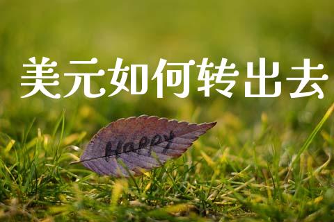 美元如何转出去_https://wap.lxcailiao.com_财务管理_第1张