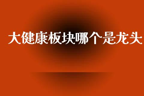 大健康板块哪个是龙头_https://wap.lxcailiao.com_融资担保_第1张