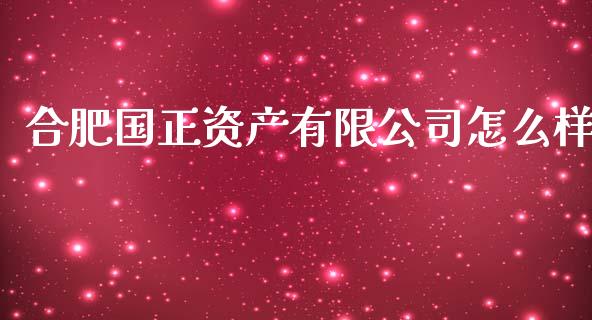 合肥国正资产有限公司怎么样_https://wap.lxcailiao.com_财务管理_第1张