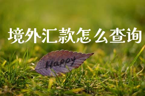 境外汇款怎么查询_https://wap.lxcailiao.com_融资担保_第1张