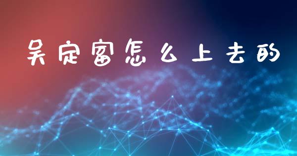 吴定富怎么上去的_https://wap.lxcailiao.com_融资担保_第1张