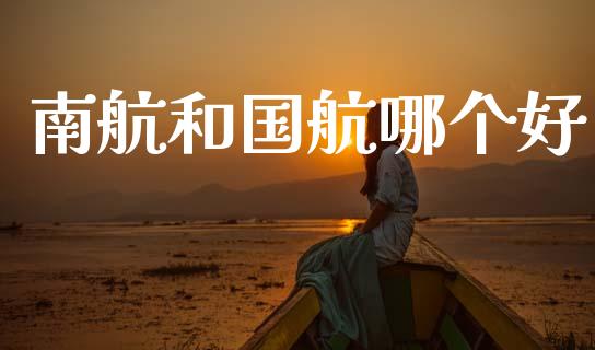 南航和国航哪个好_https://wap.lxcailiao.com_股权投资_第1张