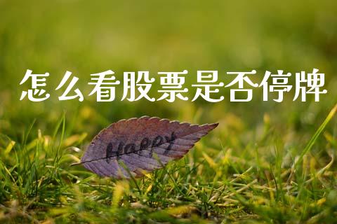 怎么看股票是否停牌_https://wap.lxcailiao.com_金融监管_第1张