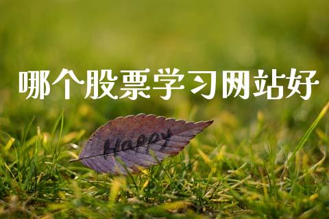 哪个股票学习网站好_https://wap.lxcailiao.com_股权投资_第1张