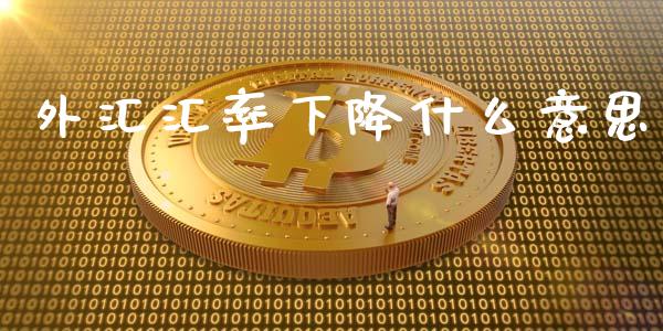 外汇汇率下降什么意思_https://wap.lxcailiao.com_财务管理_第1张