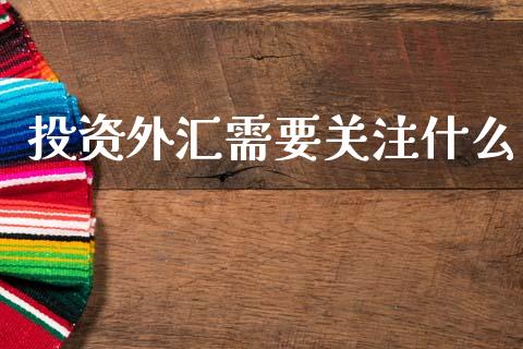 投资外汇需要关注什么_https://wap.lxcailiao.com_融资担保_第1张