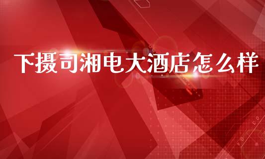 下摄司湘电大酒店怎么样_https://wap.lxcailiao.com_融资担保_第1张
