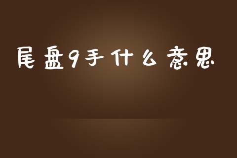 尾盘9手什么意思_https://wap.lxcailiao.com_金融监管_第1张