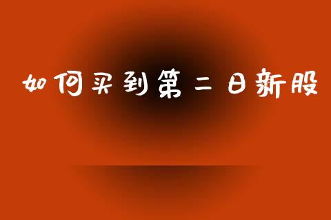 如何买到第二日新股_https://wap.lxcailiao.com_融资担保_第1张