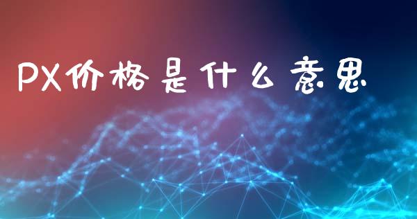 PX价格是什么意思_https://wap.lxcailiao.com_金融监管_第1张