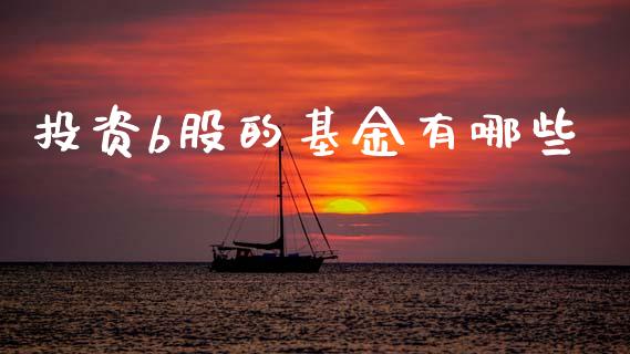 投资b股的基金有哪些_https://wap.lxcailiao.com_金融监管_第1张