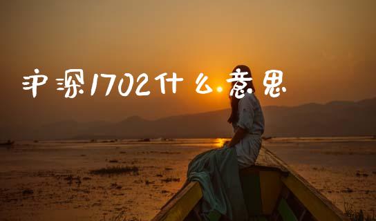 沪深1702什么意思_https://wap.lxcailiao.com_融资担保_第1张
