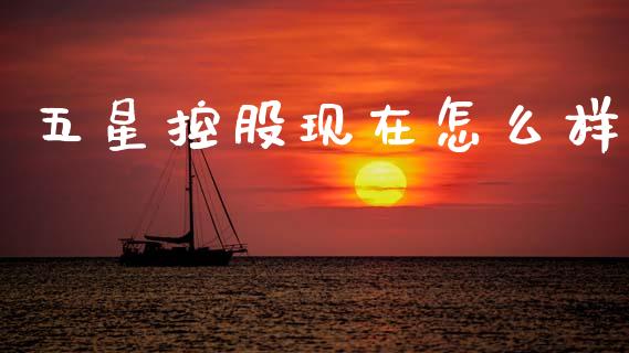 五星控股现在怎么样_https://wap.lxcailiao.com_财务管理_第1张