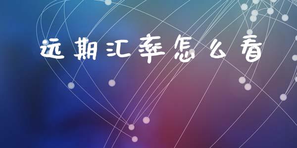 远期汇率怎么看_https://wap.lxcailiao.com_融资担保_第1张