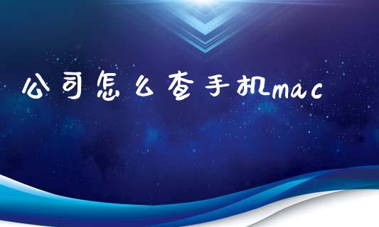 公司怎么查手机mac_https://wap.lxcailiao.com_财务管理_第1张
