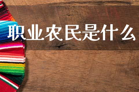职业农民是什么_https://wap.lxcailiao.com_股权投资_第1张