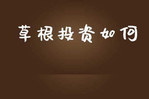 草根投资如何_https://wap.lxcailiao.com_股权投资_第1张