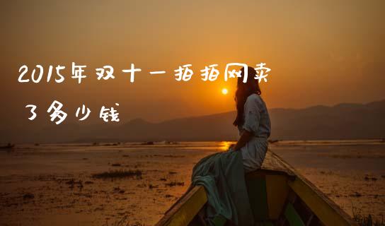2015年双十一拍拍网卖了多少钱_https://wap.lxcailiao.com_融资担保_第1张