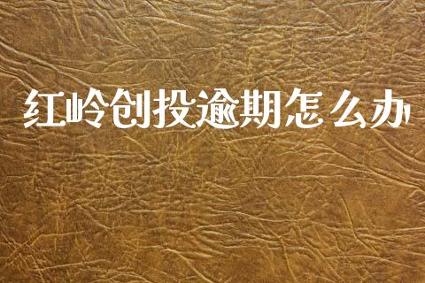 红岭创投逾期怎么办_https://wap.lxcailiao.com_财务管理_第1张