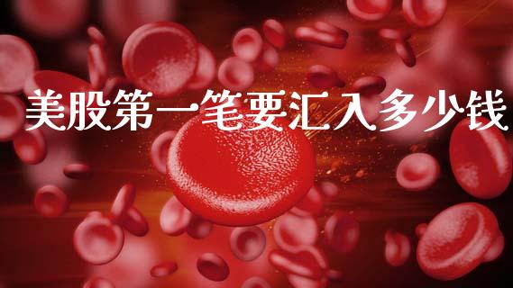 美股第一笔要汇入多少钱_https://wap.lxcailiao.com_股权投资_第1张
