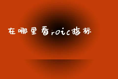 在哪里看roic指标_https://wap.lxcailiao.com_融资担保_第1张