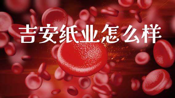 吉安纸业怎么样_https://wap.lxcailiao.com_融资担保_第1张