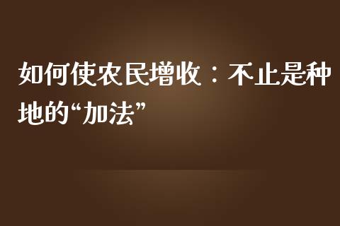 如何使农民增收：不止是种地的“加法”_https://wap.lxcailiao.com_财务管理_第1张