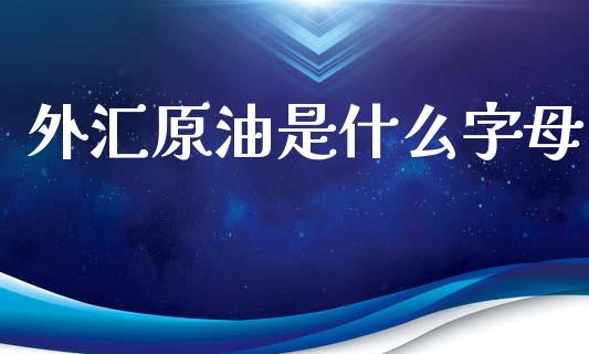 外汇原油是什么字母_https://wap.lxcailiao.com_股权投资_第1张