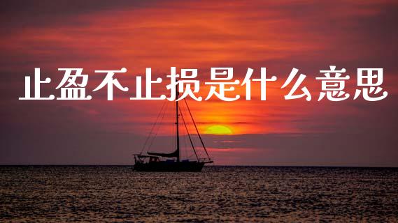 止盈不止损是什么意思_https://wap.lxcailiao.com_金融监管_第1张