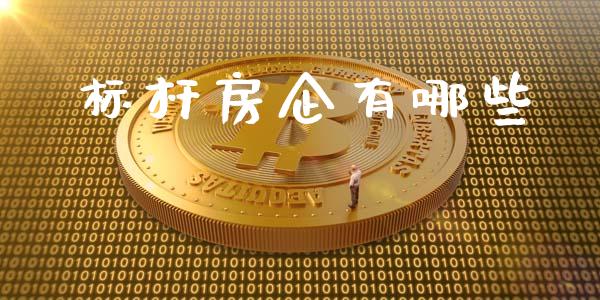标杆房企有哪些_https://wap.lxcailiao.com_财务管理_第1张