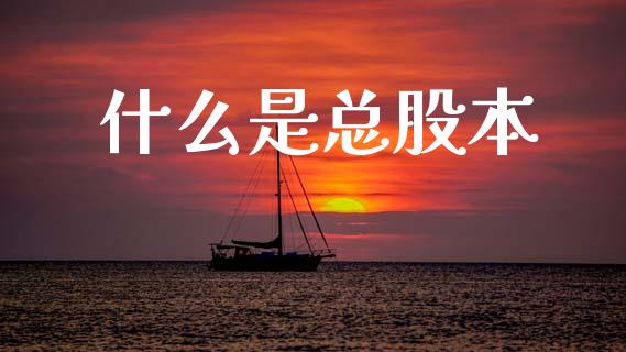 什么是总股本_https://wap.lxcailiao.com_融资担保_第1张